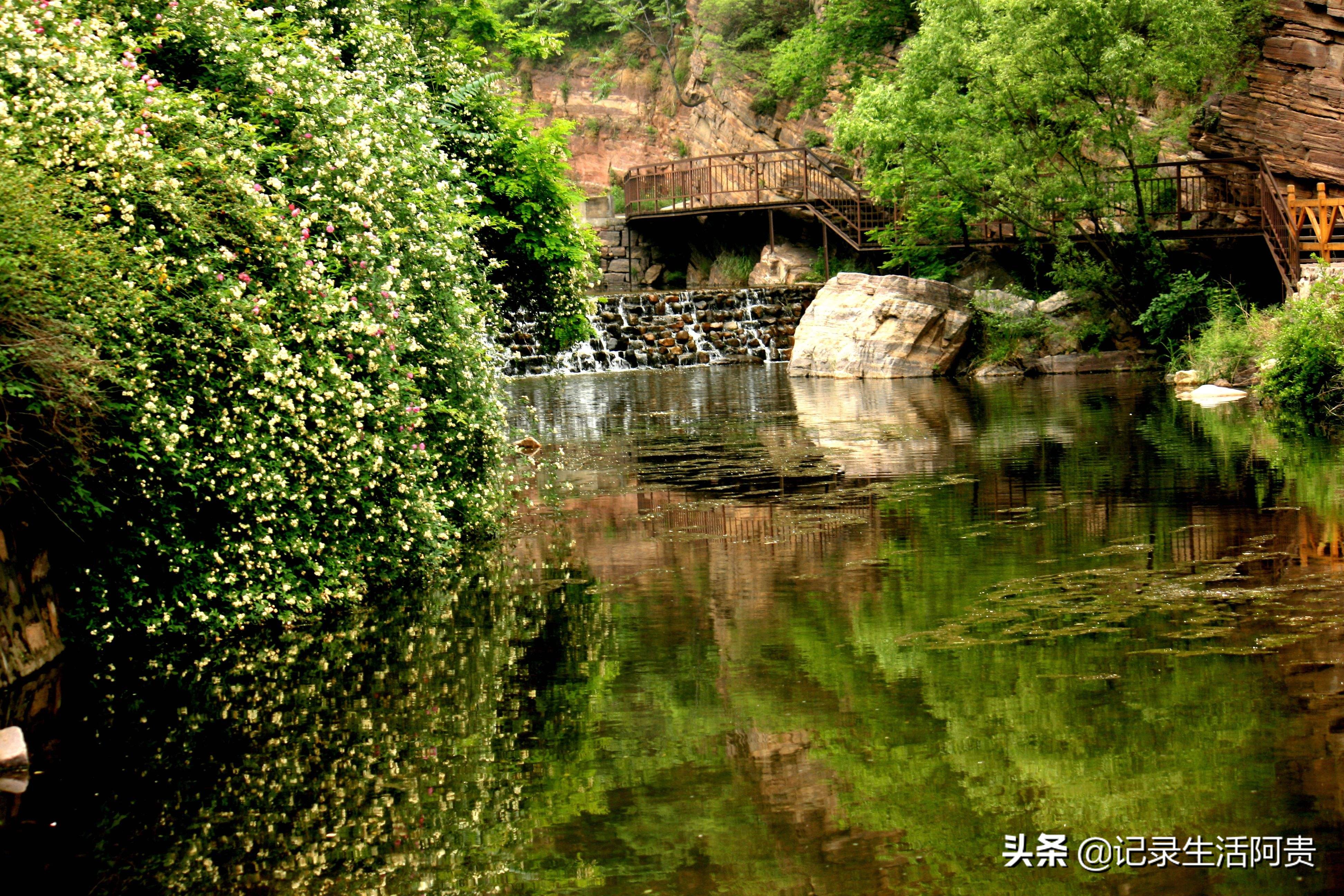 介绍几个洛阳的著名景点景区，个个都令人流连忘返