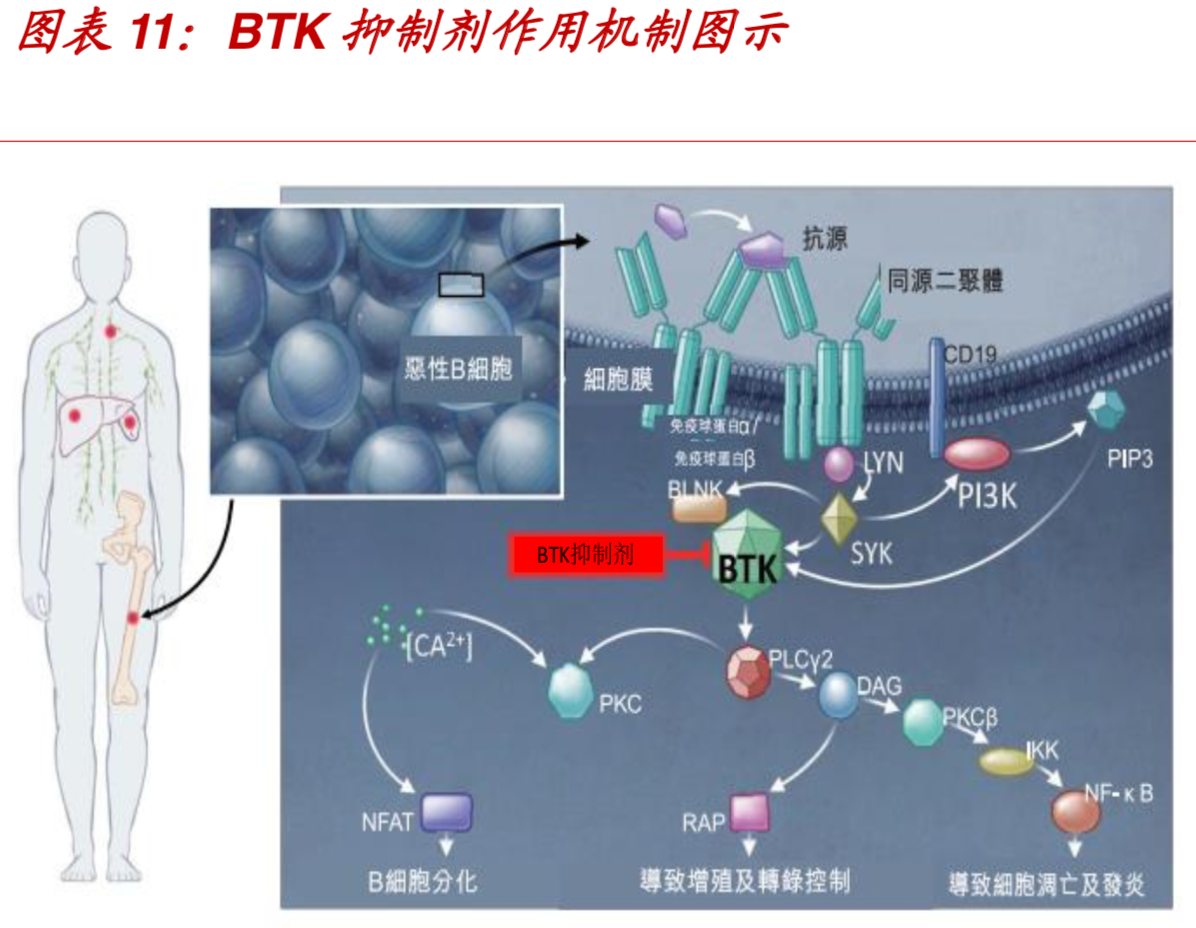 创新药全球发展趋势及国内发展机会分析