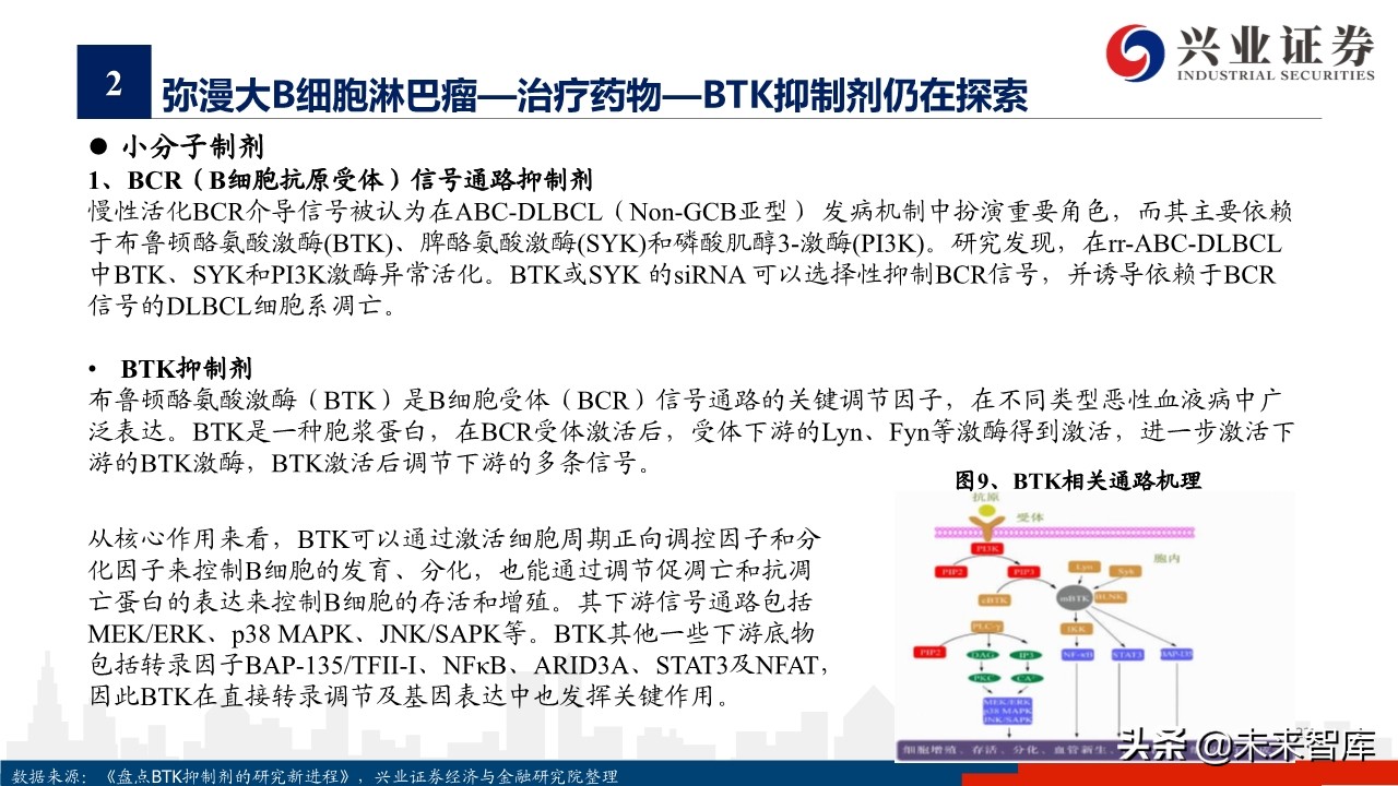 医药行业专题报告：淋巴瘤诊疗指南与药物梳理