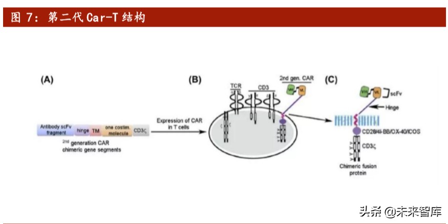 医药行业专题报告：Car-T细胞治疗深度研究