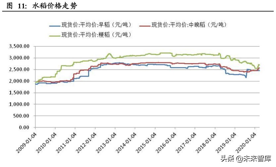 粮食供需分析及国内外种业发展对比专题报告