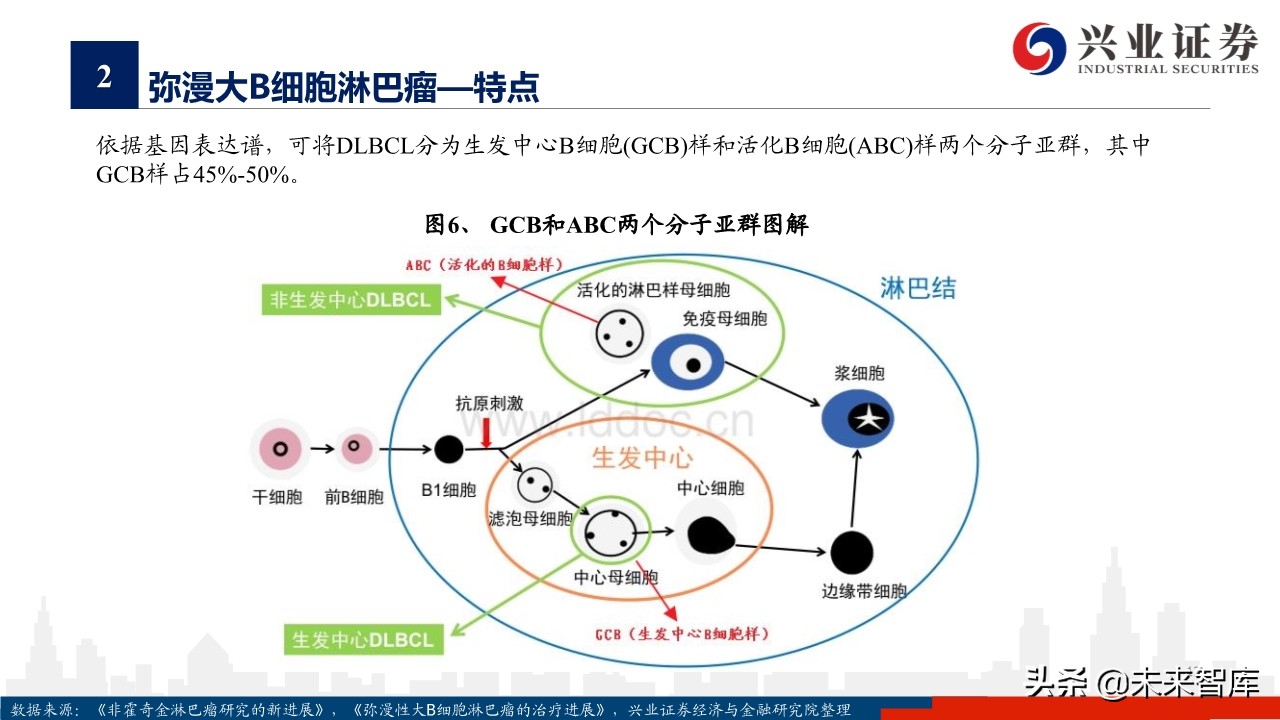 医药行业专题报告：淋巴瘤诊疗指南与药物梳理
