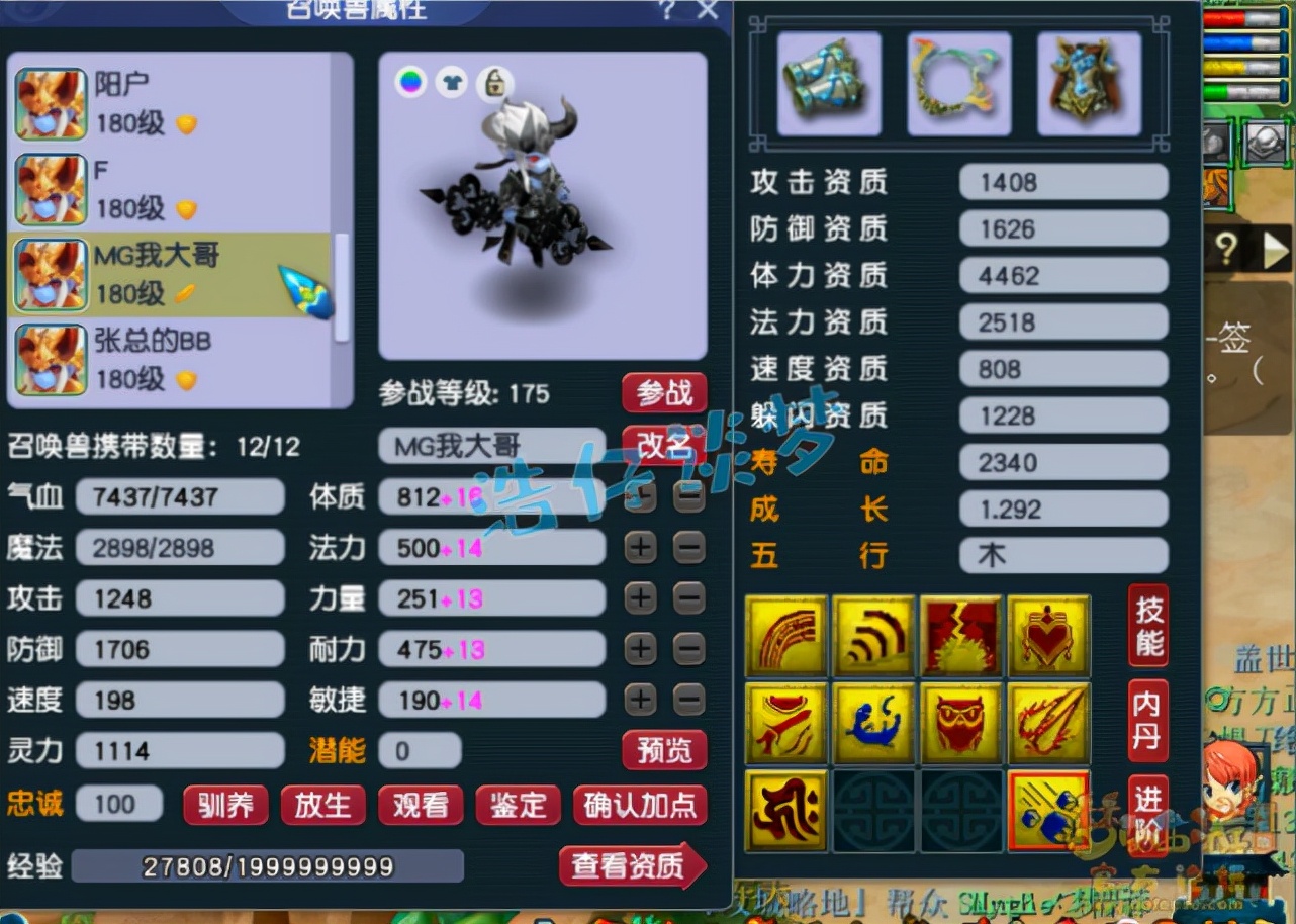 梦幻西游：175服战神木林16+10超强硬件，神佑搭配163特效完美