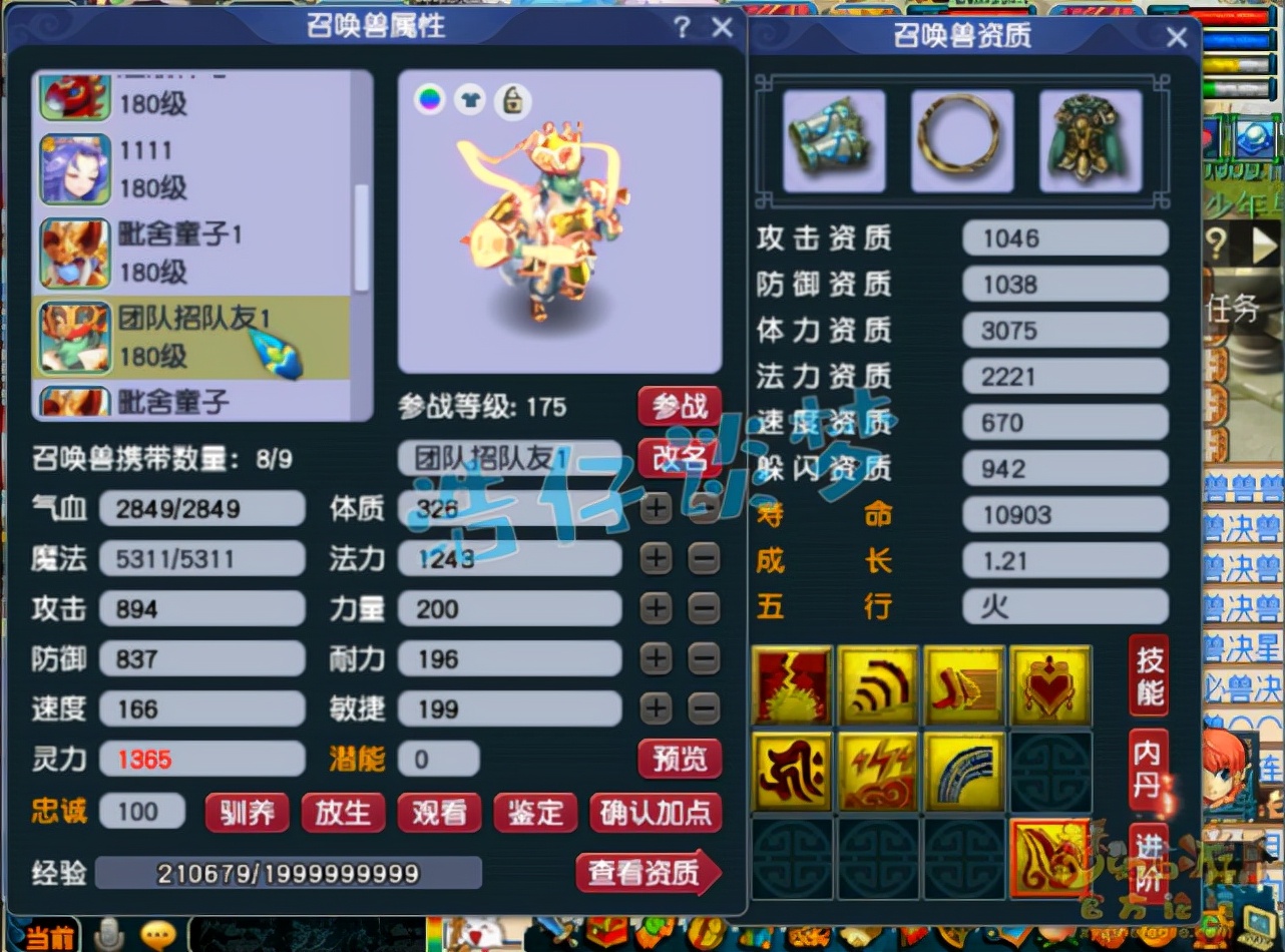 梦幻西游：土豪新区打造175方寸，谛听鲲鹏全有，月刷33亿经验