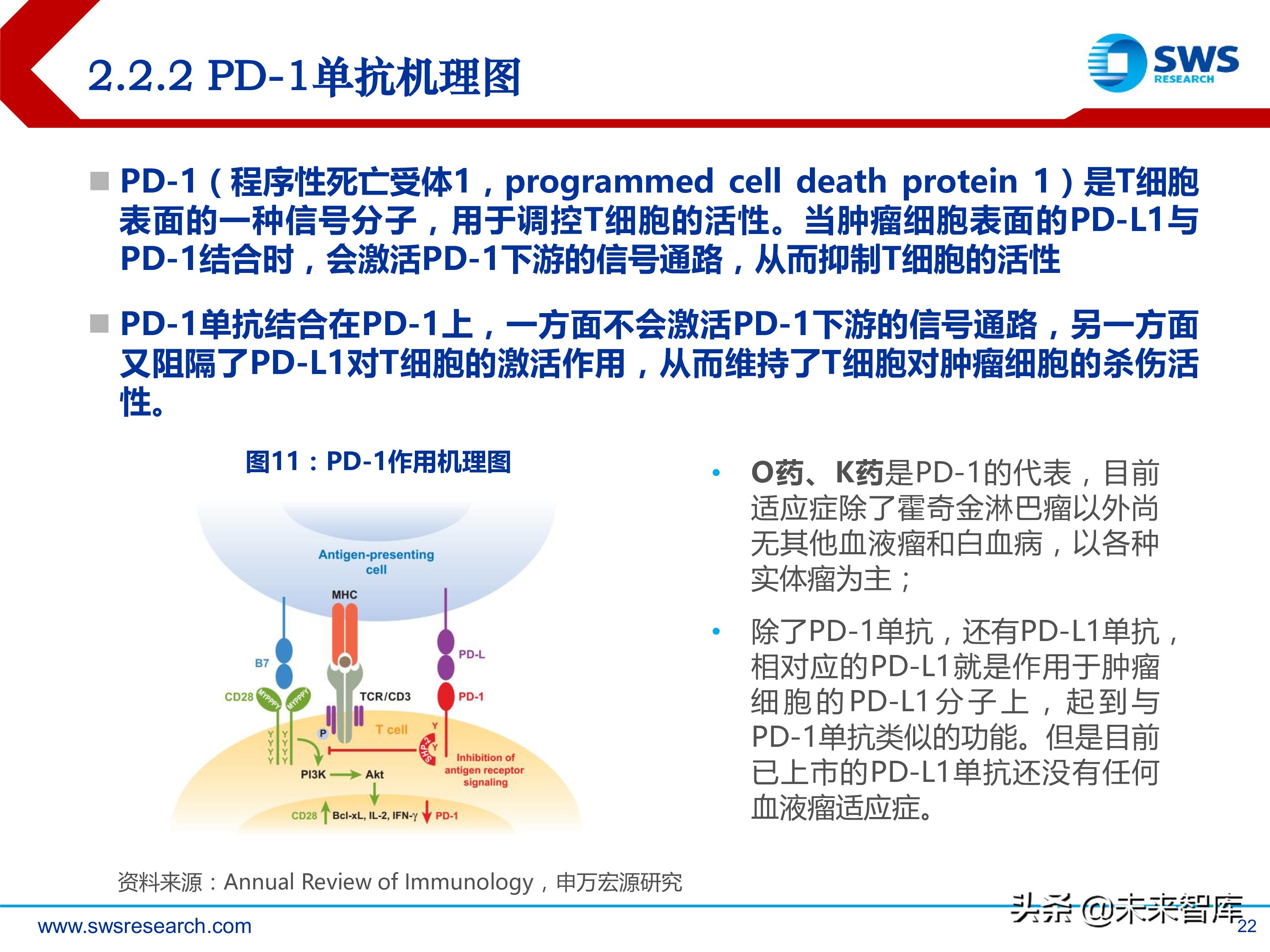 肿瘤创新药：淋巴瘤/白血病专题研究报告