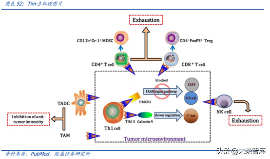 医药行业龙头恒瑞医药深度解析（74页）