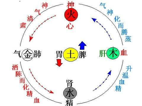 医学大师黄元御《四圣心源》天人合一,一气周流!