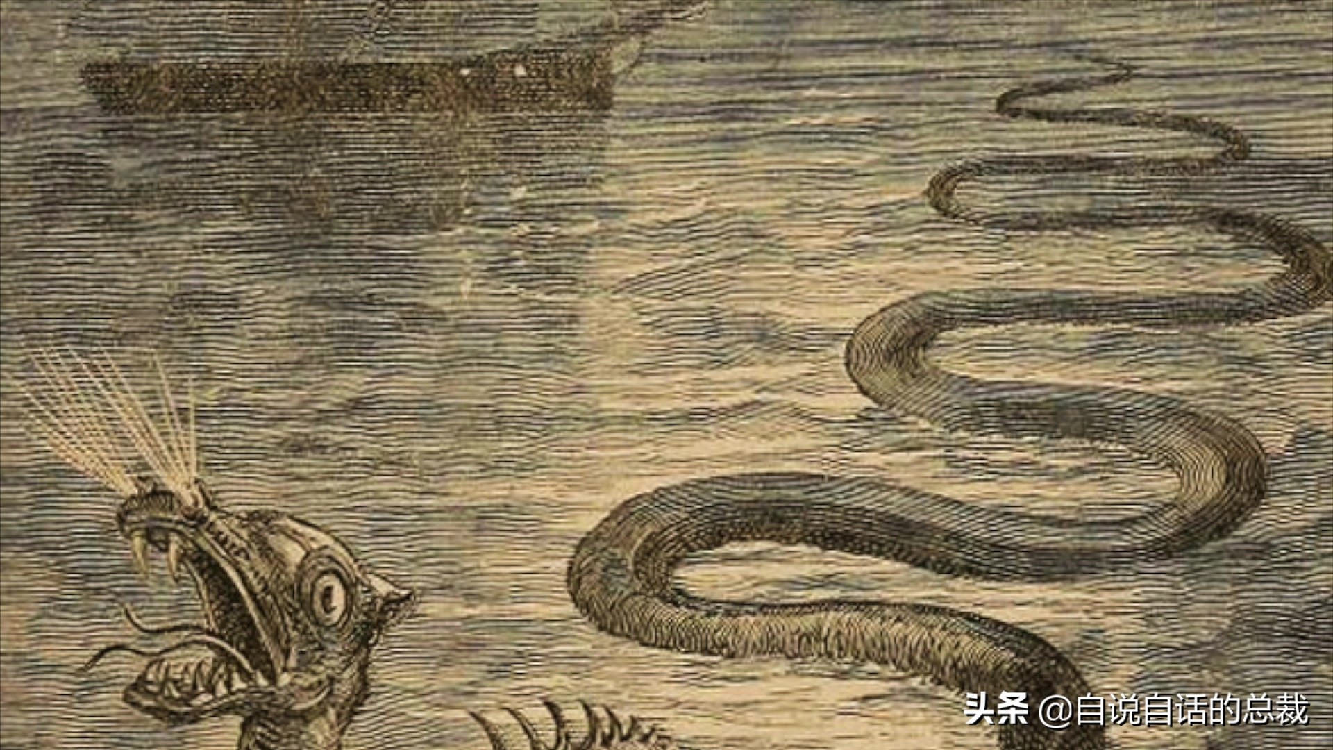 大海深处未解之谜大海神秘未解之谜