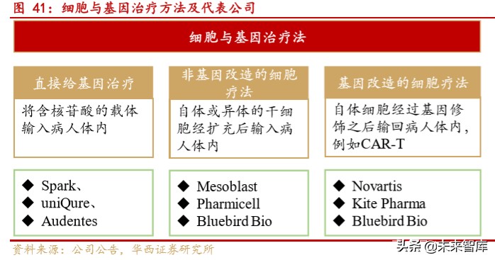 药明康德深度解析：大而强的平台型创新药服务商