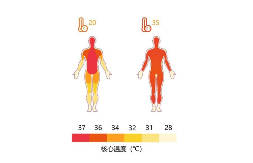 人体正常体温是多少人的正常体温一览表