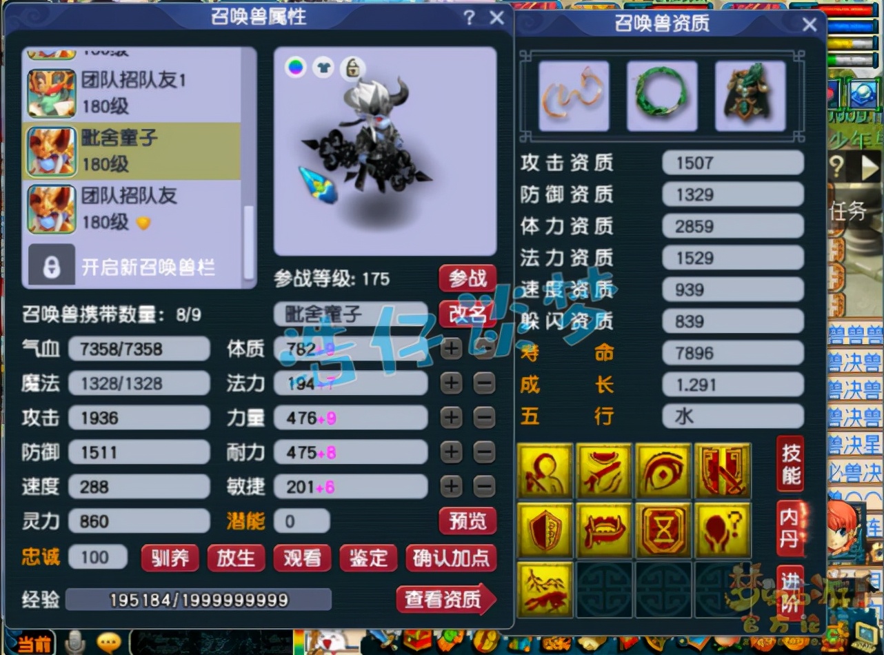 梦幻西游：土豪新区打造175方寸，谛听鲲鹏全有，月刷33亿经验