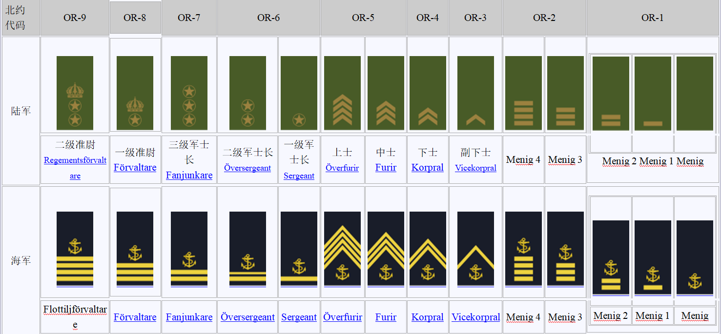 瑞典王国人口1千万,总兵力6.5万,士兵军衔种类比军官还丰富