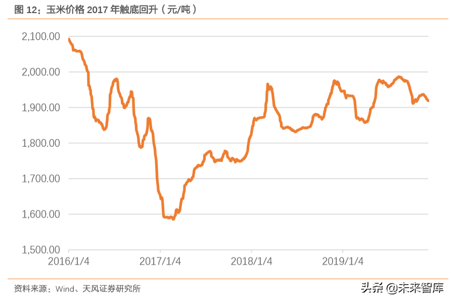 种子行业专题报告：转基因育种放开是否改变种业竞争格局？