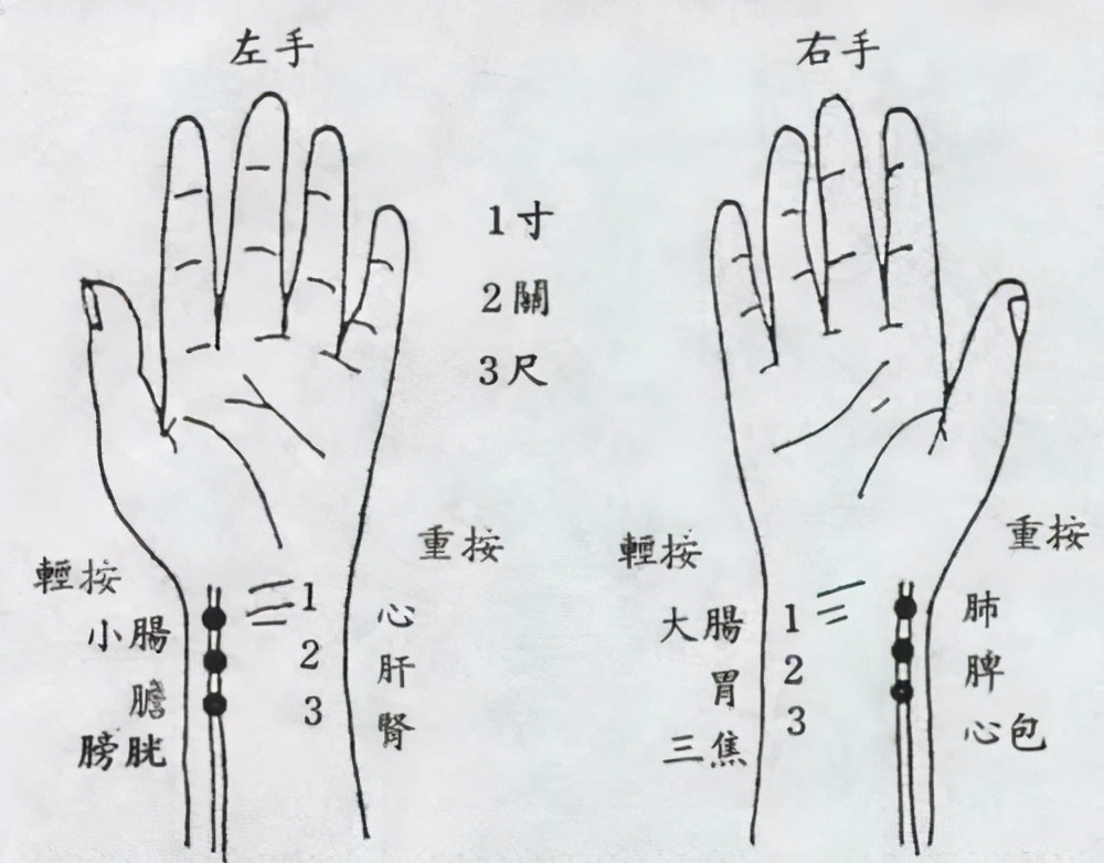 市中西医结合医院脉管病科副主任中医师赵有利表示,把脉又叫"切脉,是