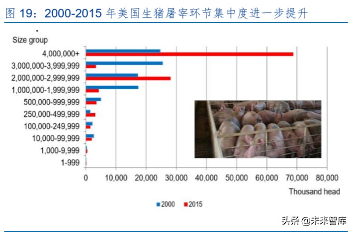 生猪养殖行业专题报告：生猪产业规模化红利与相对效率曲线效应