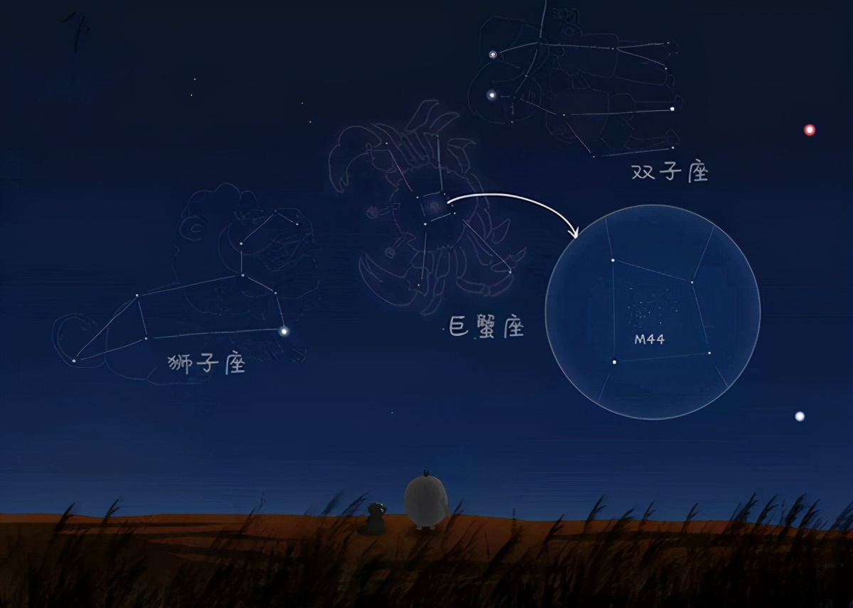 什么星座宝宝最好带出生在哪个星座最好