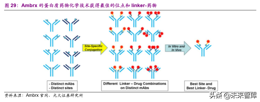 创新药专题：抗体偶联药物，靶向递送毒性小分子的生物导弹