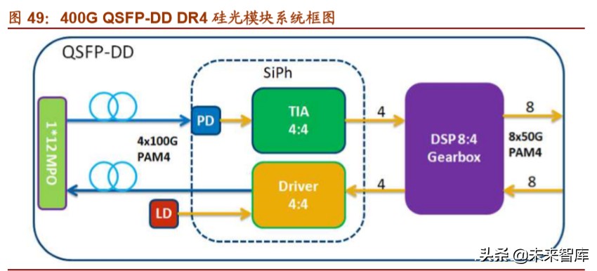 光模块行业深度报告：双引擎驱动，把握光模块确定性投资机遇