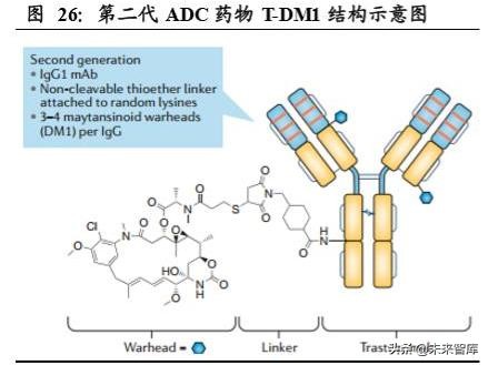 生物医药专题之单抗行业深度报告