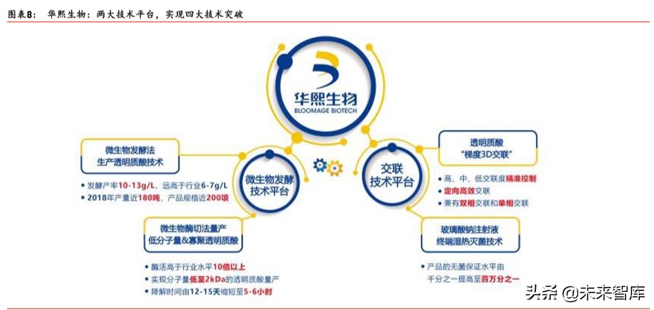 透明质酸全产业链龙头华熙生物深度解析