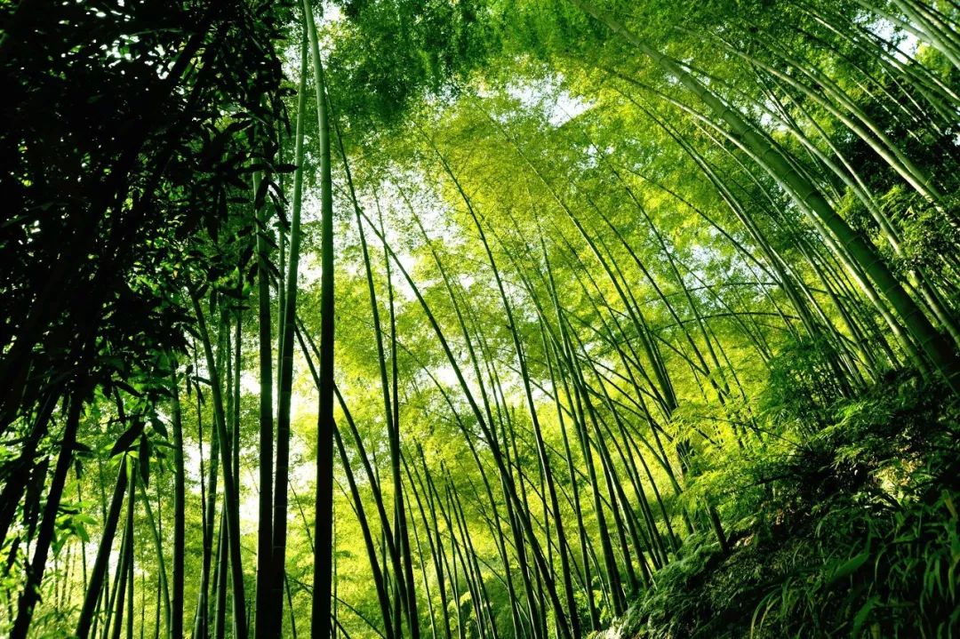 8月最佳旅行目的地出炉，过一个只有25℃的夏天