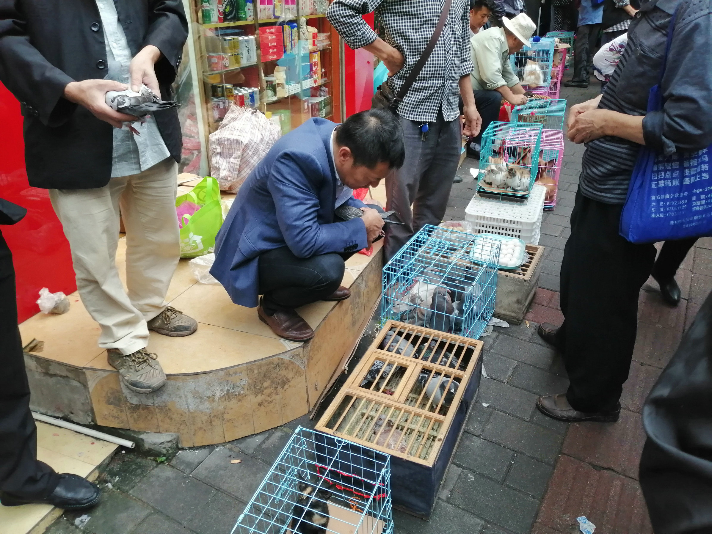 重庆渝北两路赶场为何叫"狗儿市场?让我带你看看这里的狗市