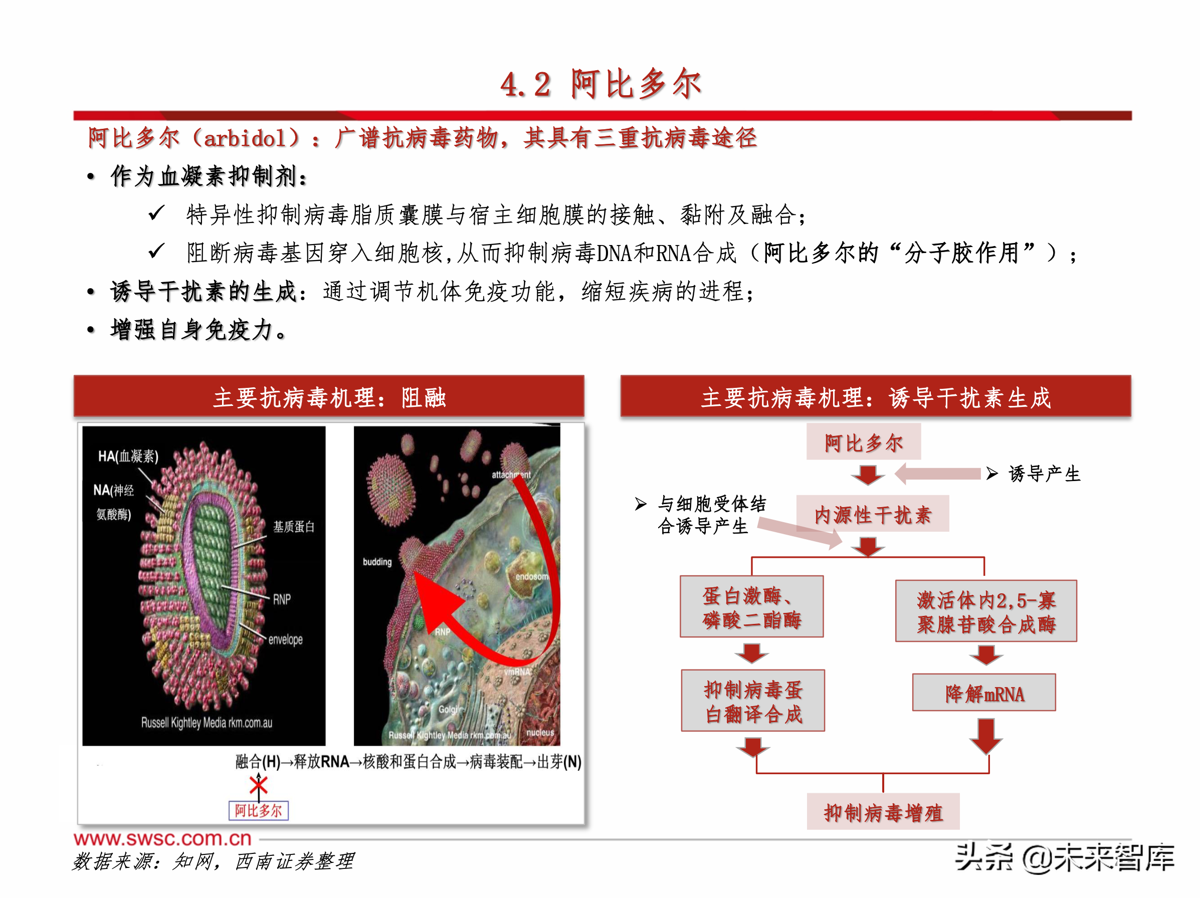 医药行业之新冠肺炎192页专题报告