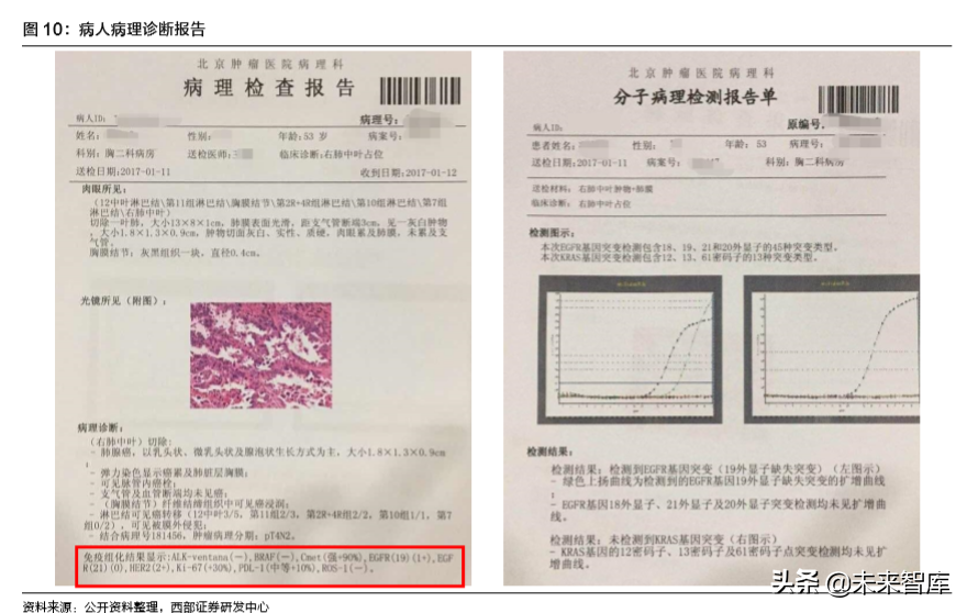 病理检测与诊断行业深度研究报告