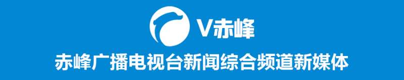 赤峰抖音代运营机构(赤峰市红山区商务局局长吕子臣：力促商贸服务业高质量发展)  第3张