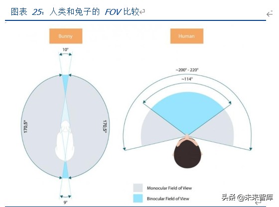VRAR专题报告：产业理性回归，运营商和5G催生拐点