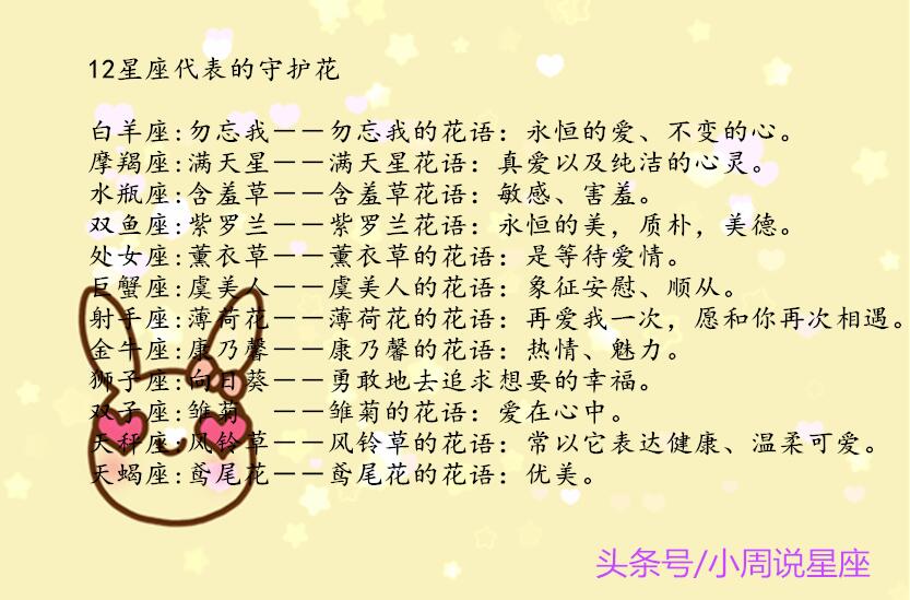 星座守护花图片十二星座守护花仙