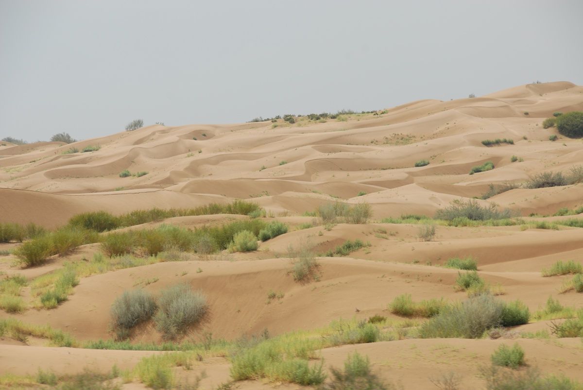 土地荒漠化（非洲撒哈拉沙漠地区，是不是世界上“土地荒漠化”最严重的地区？）