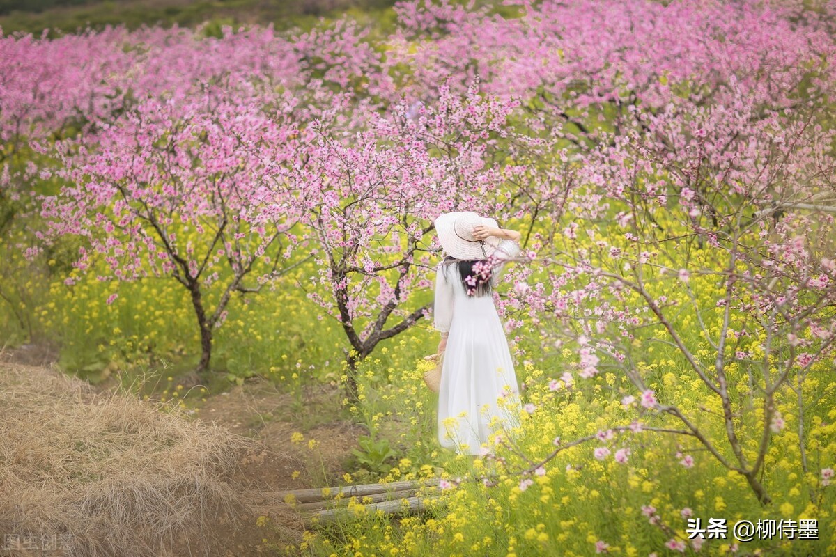 春天与花儿一起拍照,6个摄影口诀,拍摄意境唯美的人像大片