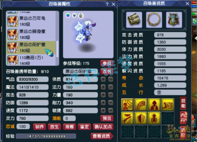 梦幻西游：重金入手175狮驼岭，装备宝宝齐全，上号就能打剑会