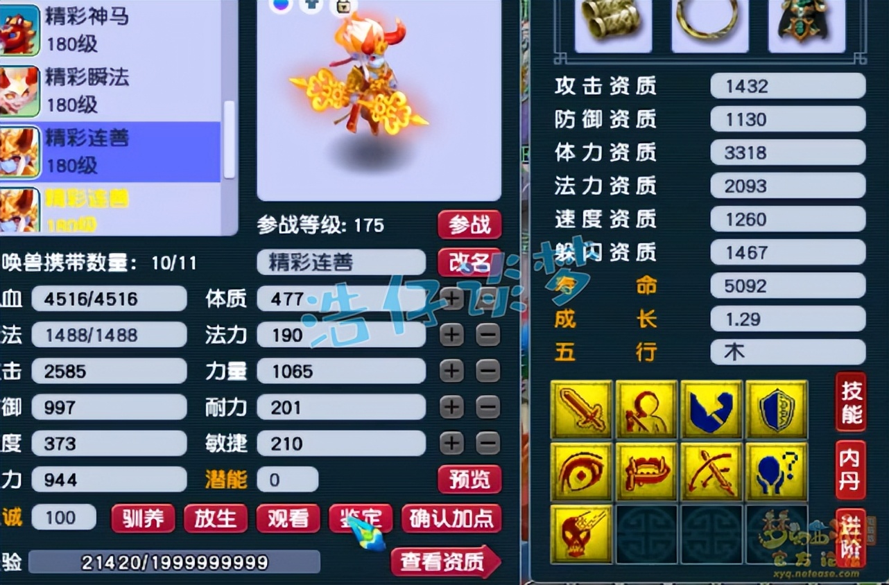 梦幻西游：175性价比帮战凌波城，4件物暴装备，体验超越服战号