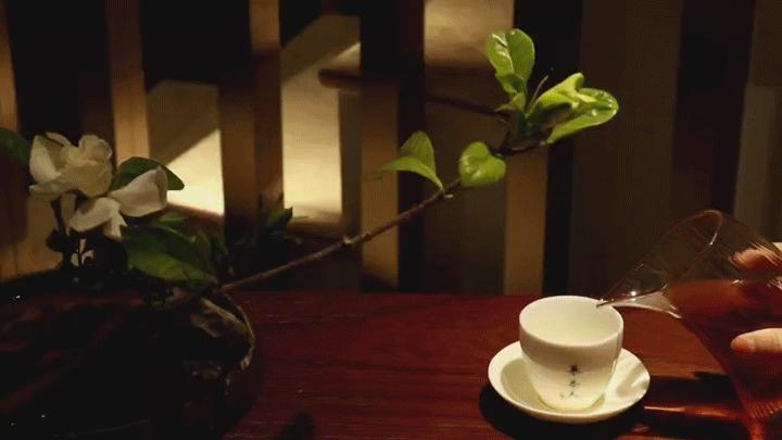 貼心泡茶指南：不同的茶，該怎么泡才好喝？（收藏級教程）