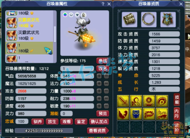 梦幻西游：175单挑狮驼带千伤神佑武器，只要我神佑死的就是你