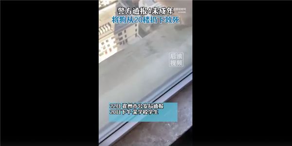 学生将狗从20楼扔下致死，还拍视频，家长道歉：他们还只是个孩子