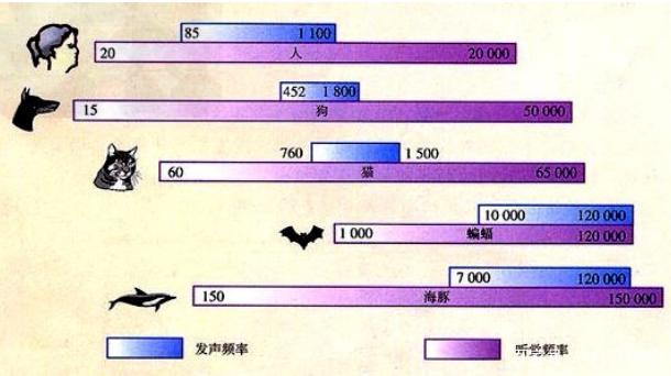 频率物体每秒钟振动的次数