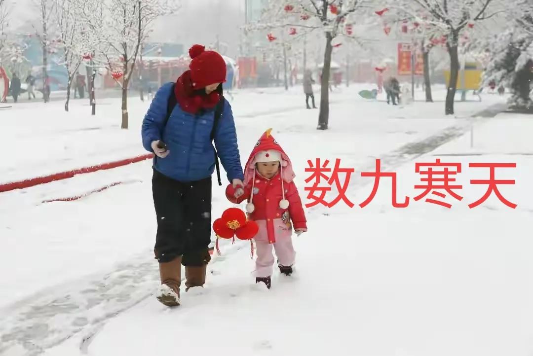 冬至临近,老话"热在三伏,冷在三九"今年哪一天开始数九呢?