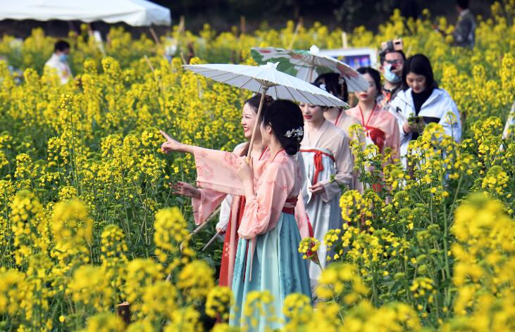 油菜花节2022金堂三溪镇油菜花节时间