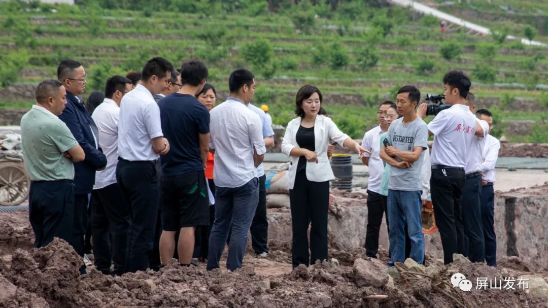 科学作为│赵丹调研督导大乘镇京坪村"玫鳞花溪"示范区建设工作--屏山