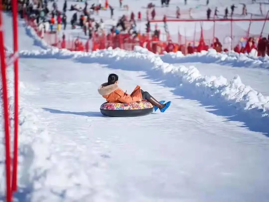 戏雪项目十余种20000平米的超大戏雪区多个专业滑雪赛道单板花样雪道