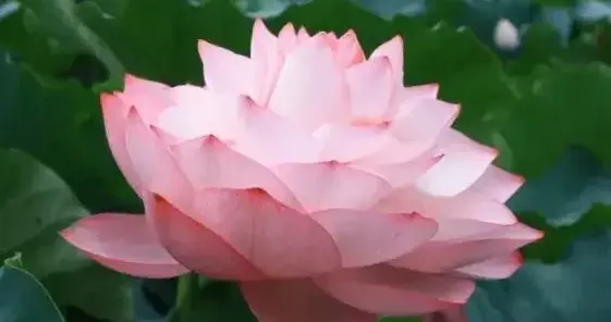 哪位大师可以和我聊聊地藏王菩萨?