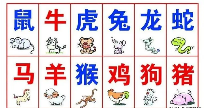 请问两人的属相真的会影响婚姻吗?