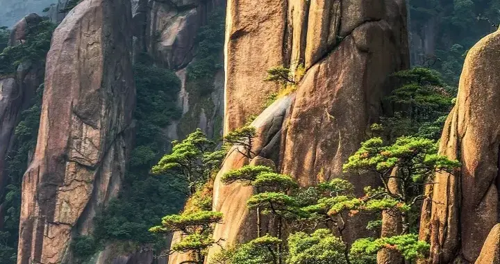 道家传承四柱八字(道家八段锦正宗做法)