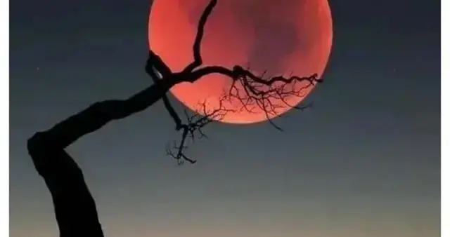 八字四柱排盘中日柱(八字为什么以日元为主)