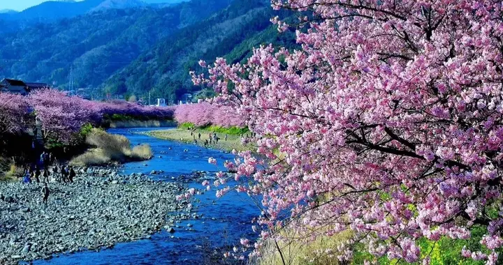 乐平市：假和尚医院门口算命，专骗老人上钩, 你怎么看？