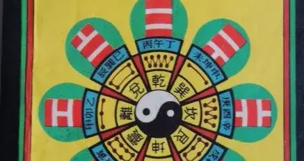 属猪四柱八字(属猪的本命年要注意些什么)