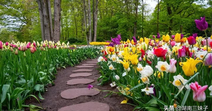 你相信命运吗,听说上天从前世就注定你的命运了是真的吗?